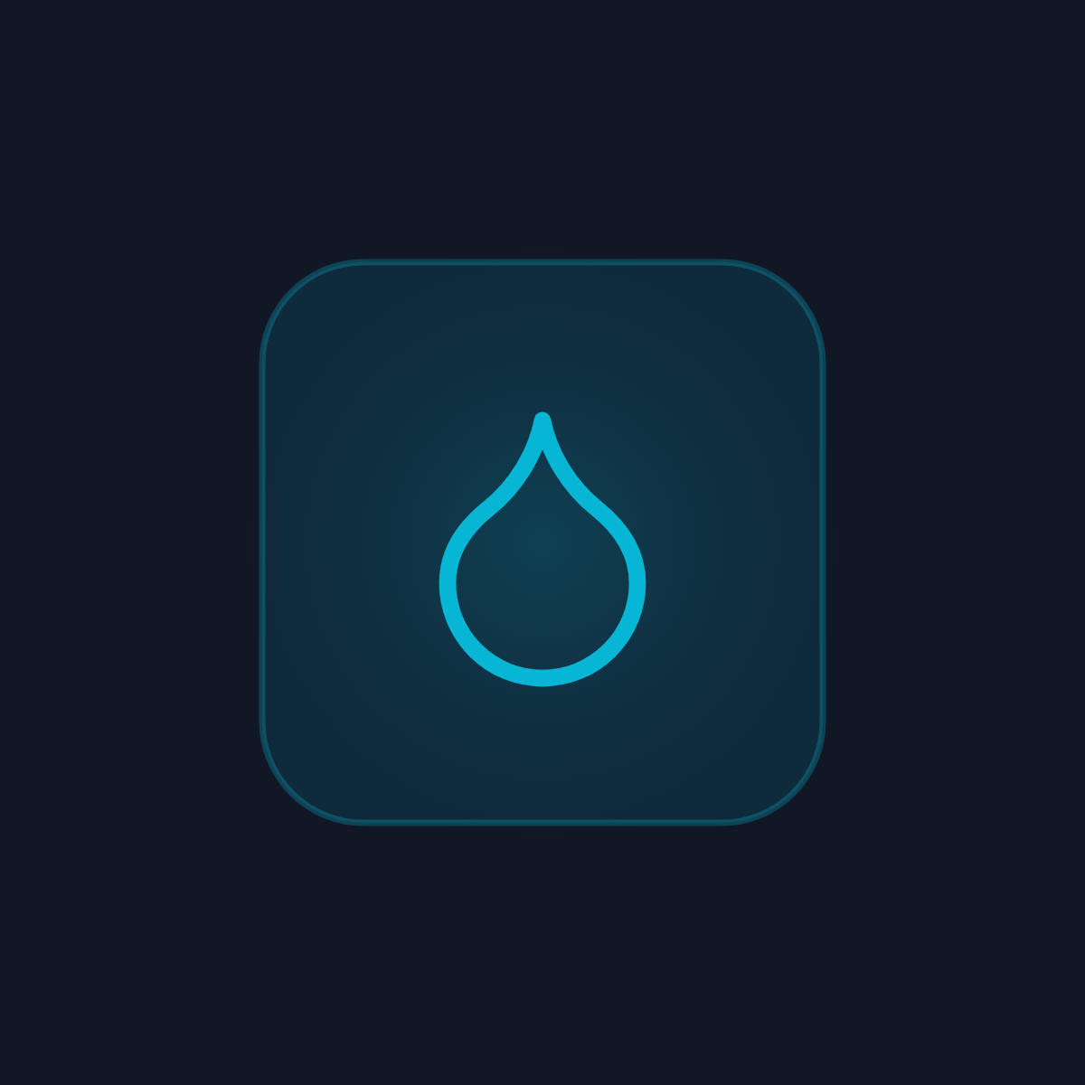 Water Meters