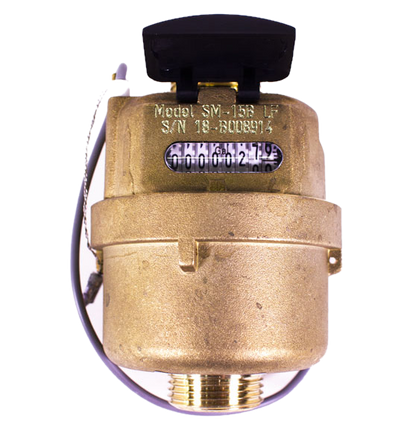 MTW Inline 3/4" Water Meter