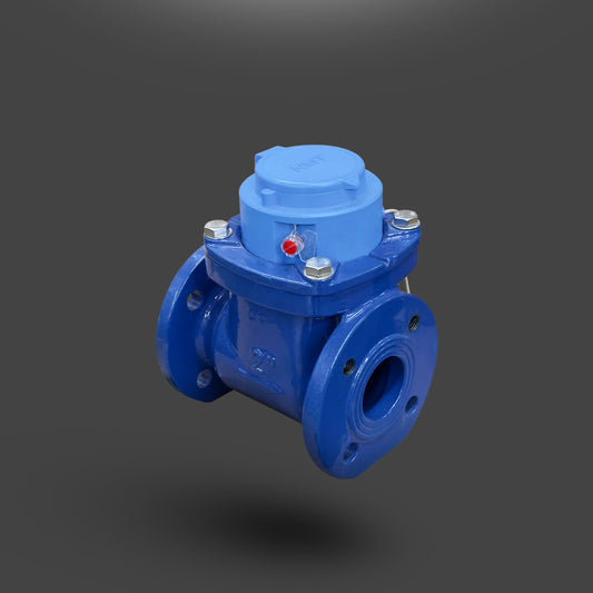 Norgas TM Series Water Meter — 2" Flanged, 1 Pulse/10 gal